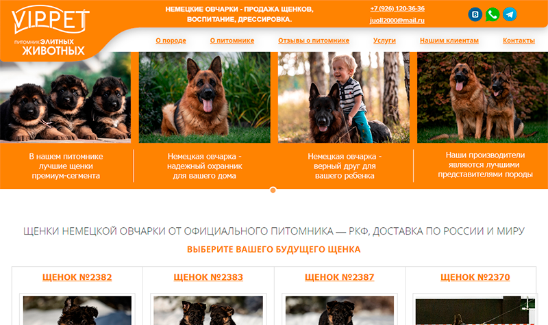 vippet.ru (2006г.) 